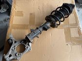 Front shock absorber with coil spring