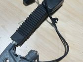 Seat belt adjustment motor