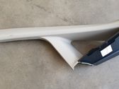 (C) pillar trim