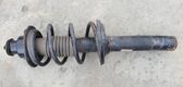 Rear shock absorber with coil spring