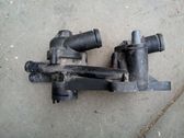 Thermostat/thermostat housing