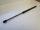 Tailgate/trunk strut/damper