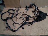 Other wiring loom
