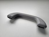 Front interior roof grab handle