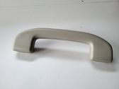 Front interior roof grab handle