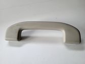 Front interior roof grab handle