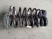 Rear coil spring