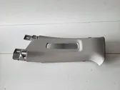 Seat belt trim