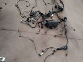 Faisceau de câblage pour installation électrique