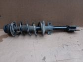 Rear shock absorber with coil spring