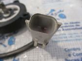 Rear door window regulator motor