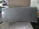 Tailgate/trunk/boot lid