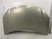 Engine bonnet/hood