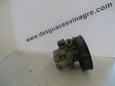 Servopumpe