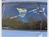Rear door window glass