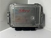 Engine control unit/module ECU