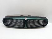 Front bumper upper radiator grill