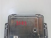 Engine control unit/module ECU