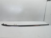 Sill/side skirt trim