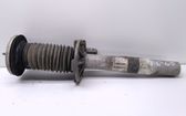 Front shock absorber/damper