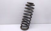 Front coil spring