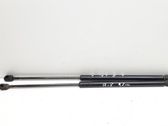 Front bonnet/hood damper/strut