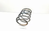 Front coil spring