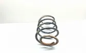 Front coil spring