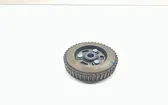 Fuel pump gear (pulley)