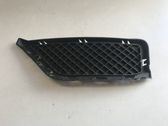 Front bumper lower grill