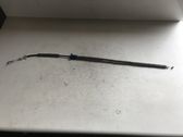 Línea de cable puerta delantera
