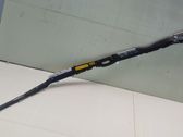 Roof airbag