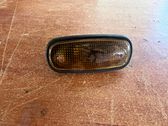 Front fender indicator light