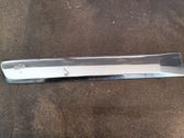 Rear door trim (molding)