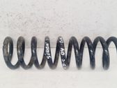 Rear coil spring