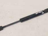 Front bonnet/hood damper/strut