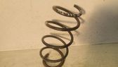 Front coil spring