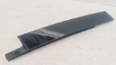 Rear door glass trim molding