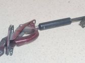 Tailgate/trunk strut/damper