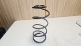 Front coil spring