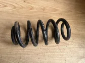 Feder vorne