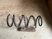 Rear coil spring