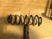 Rear coil spring