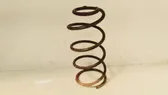 Front coil spring