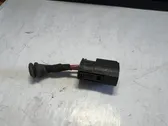 Other wiring loom