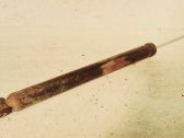 Rear shock absorber/damper