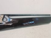Rear door trim (molding)