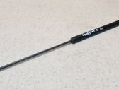 Tailgate/trunk strut/damper