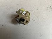 Rear door lock loop/hook striker