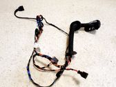 Front door wiring loom